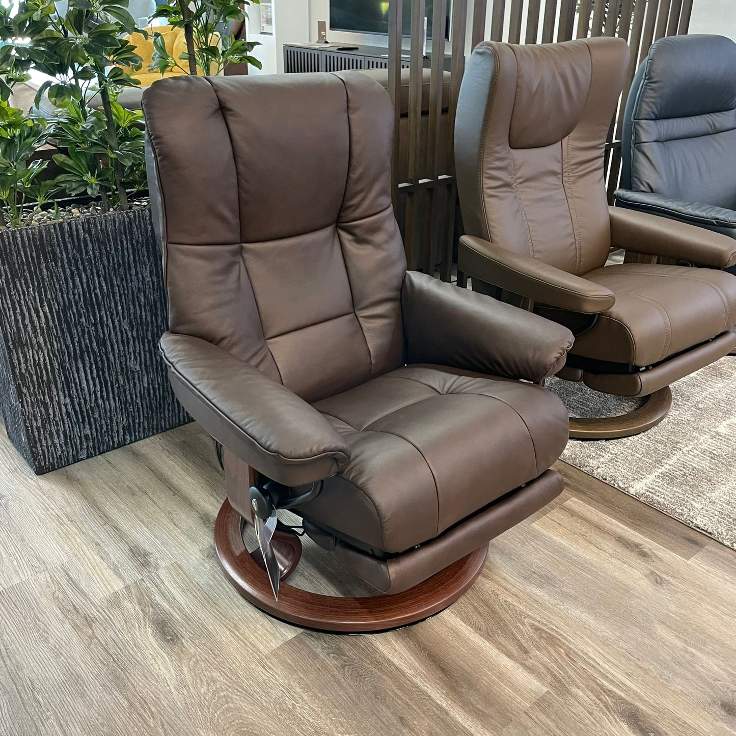 Stressless Mayfair (Medium) {Power Recliner}